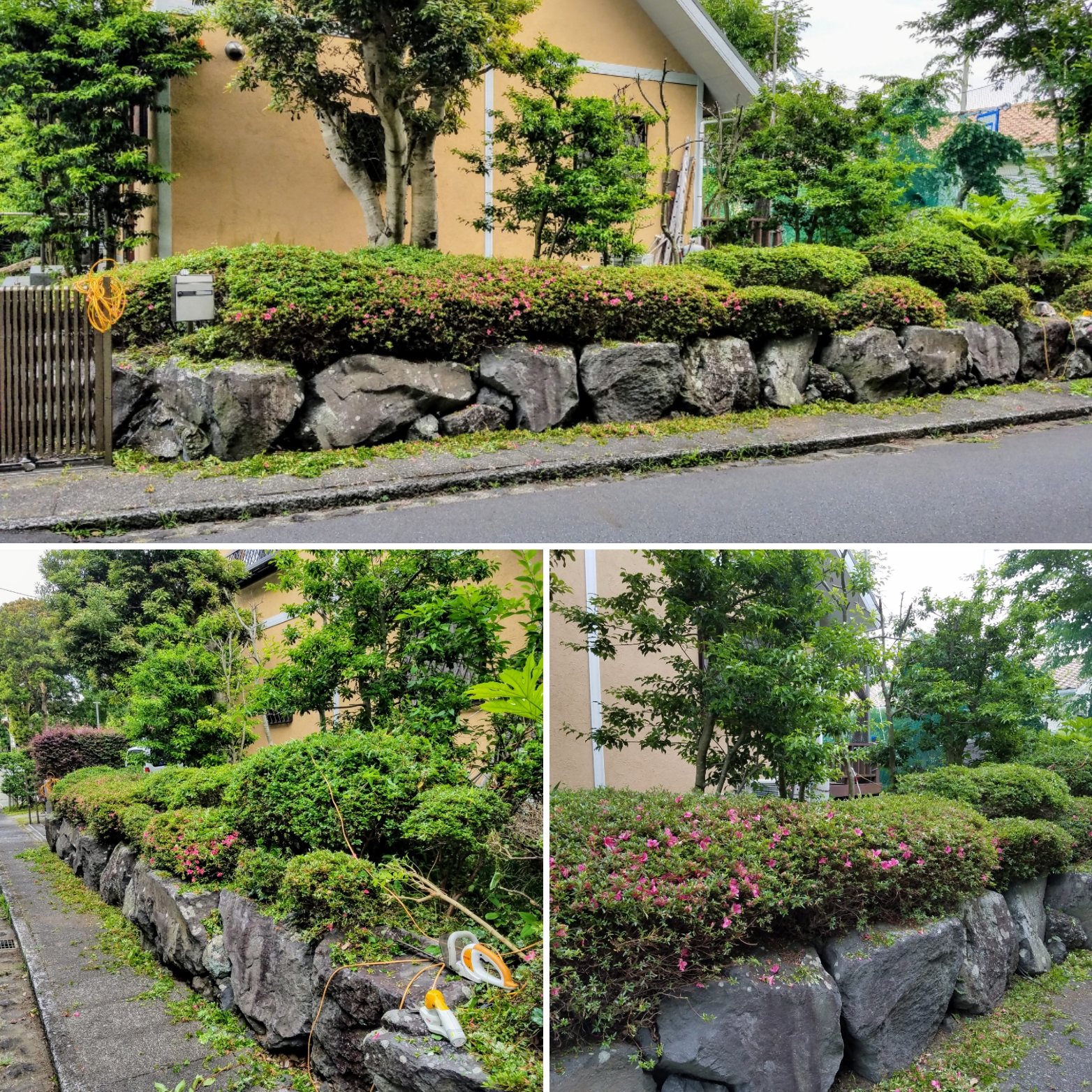 植木の剪定