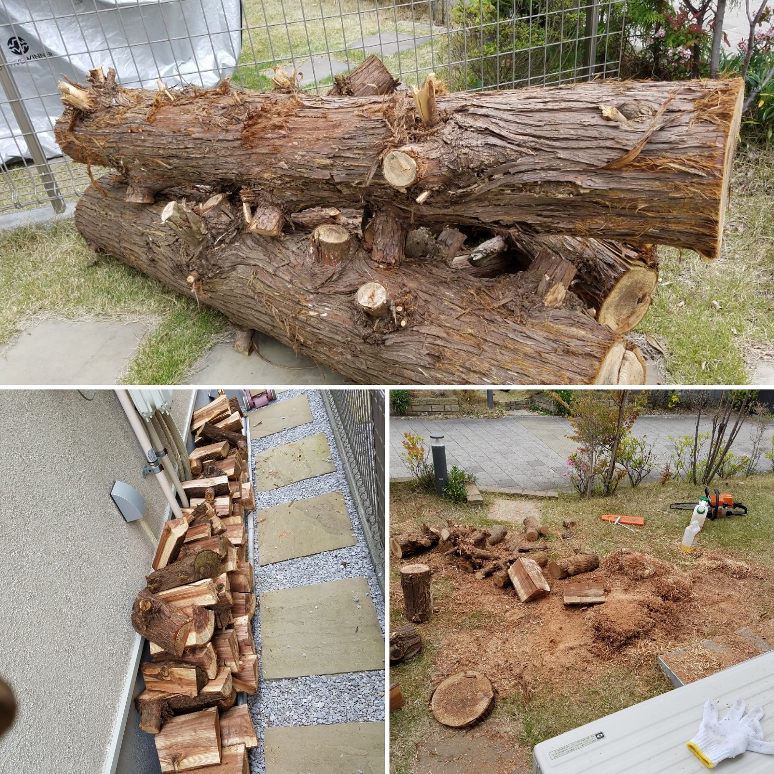 伐採作業