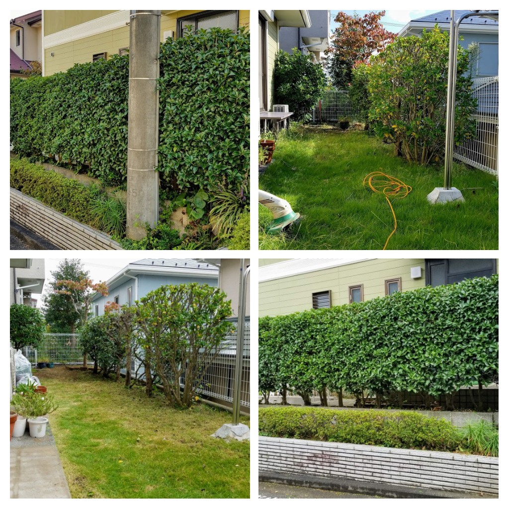 植木の剪定